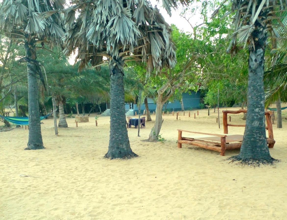 Beach Bungalow Yala キリンダ エクステリア 写真