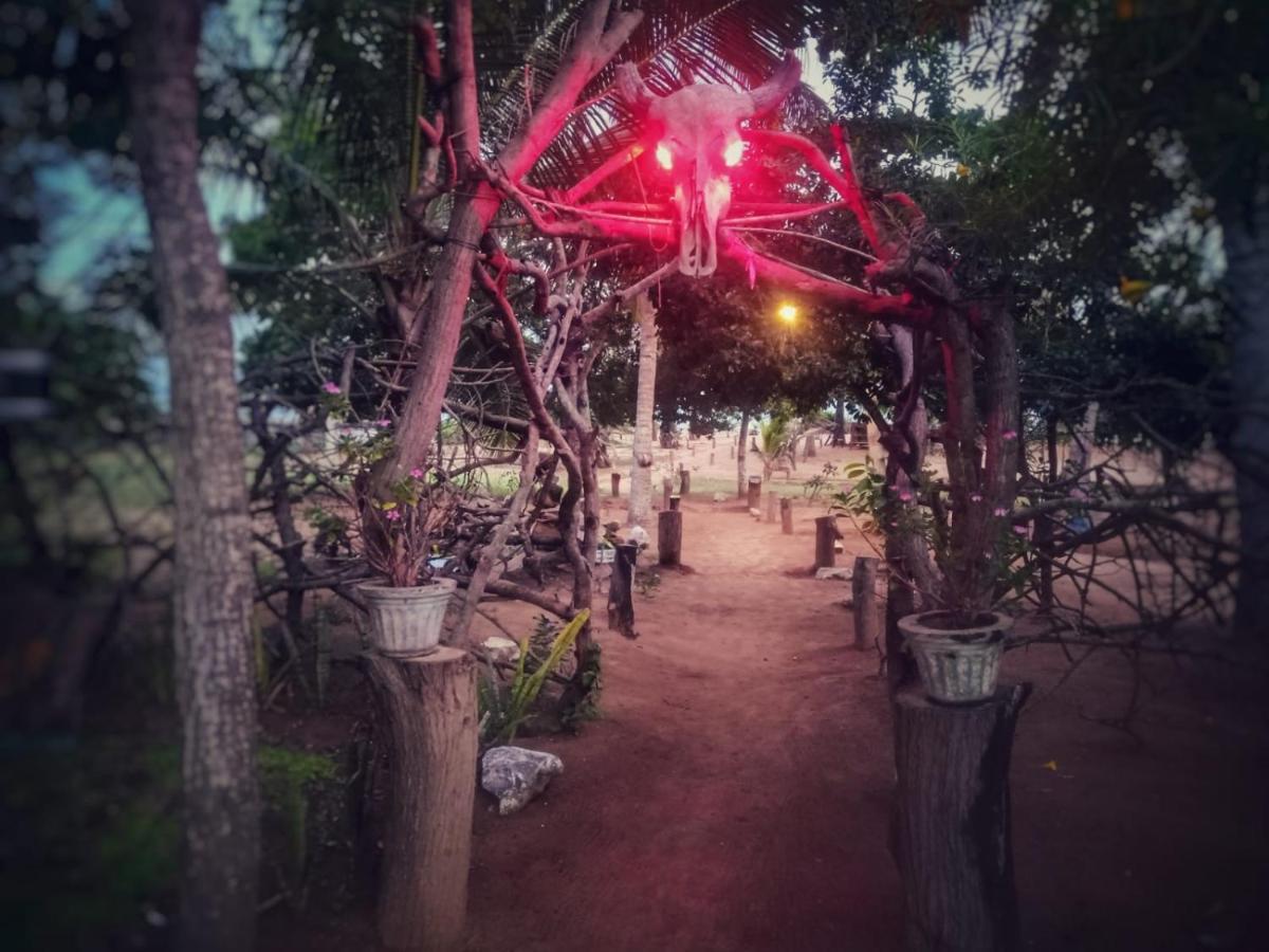 Beach Bungalow Yala キリンダ エクステリア 写真