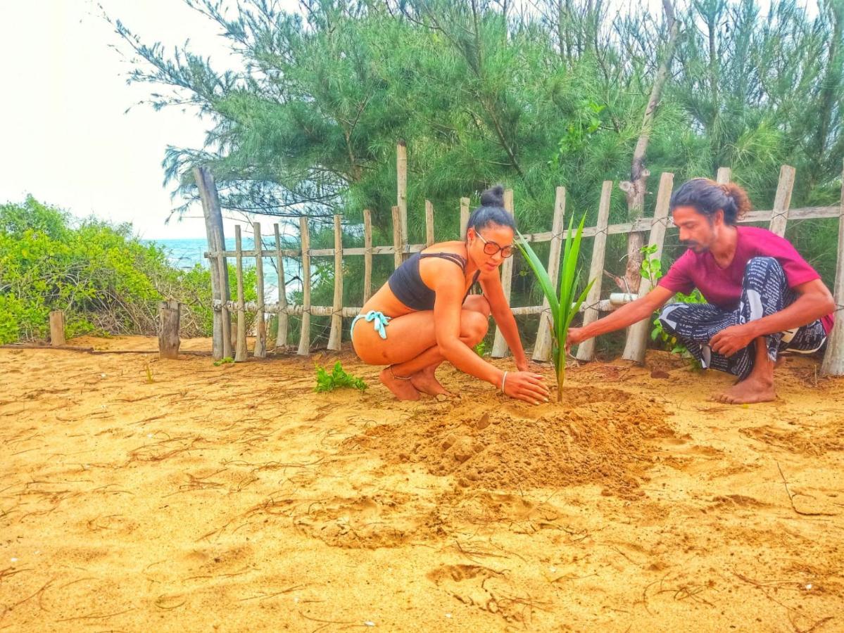 Beach Bungalow Yala キリンダ エクステリア 写真