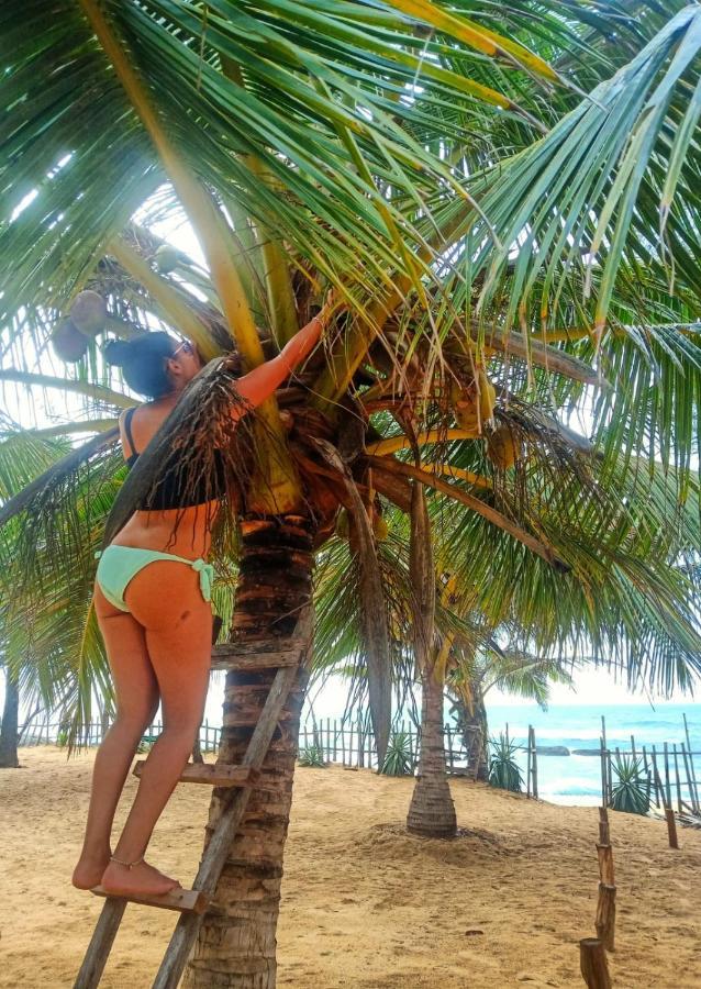 Beach Bungalow Yala キリンダ エクステリア 写真