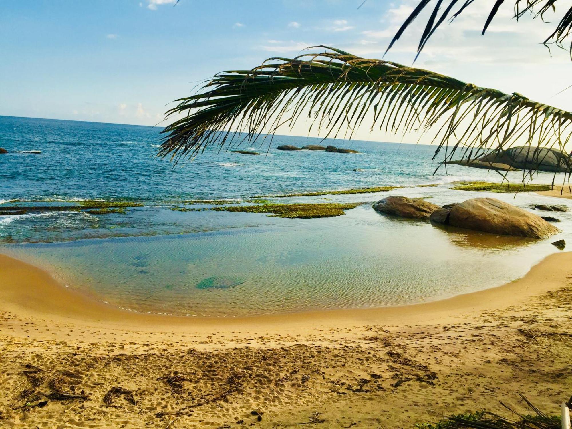 Beach Bungalow Yala キリンダ エクステリア 写真