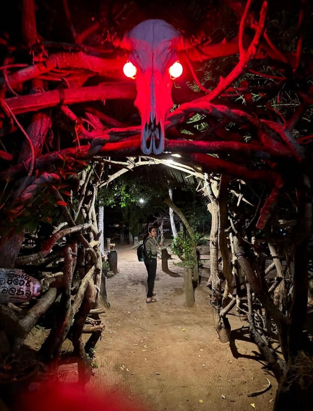 Beach Bungalow Yala キリンダ エクステリア 写真