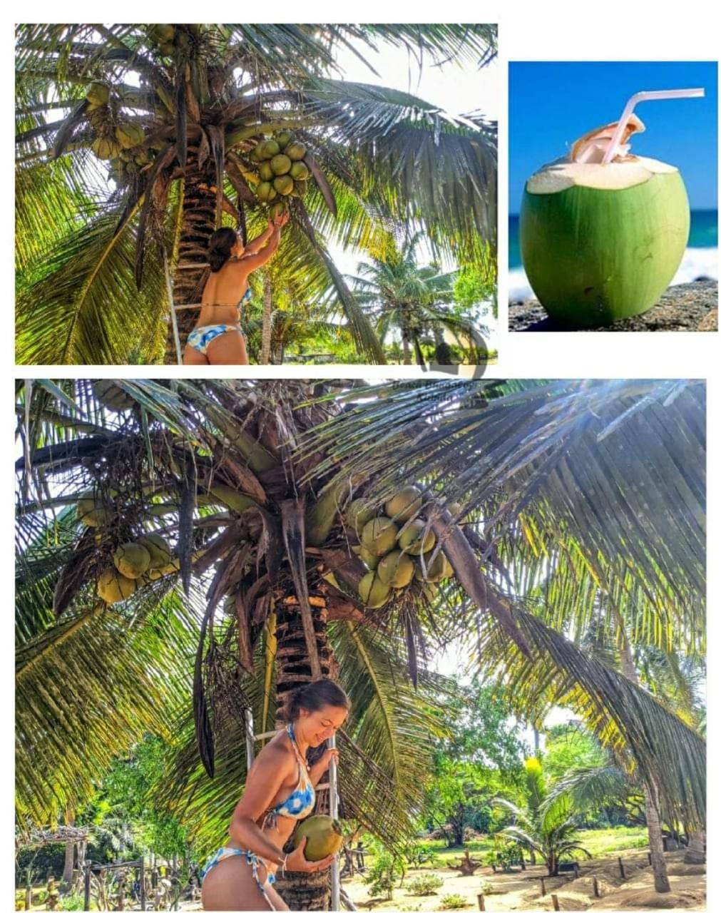 Beach Bungalow Yala キリンダ エクステリア 写真